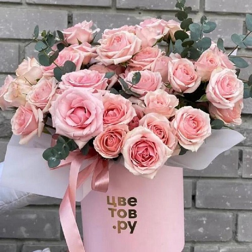 Сезонные цветы выбор россиян 2025 главные тренды и позиции