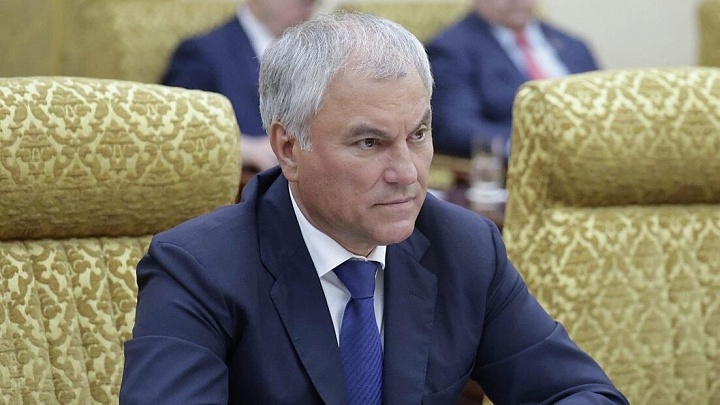 Володин предложил внести изменения в постановление по учету животных
